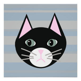 Foto Gato Preto, Stripes
