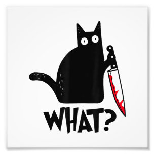Foto Gato Que_ Divertido Gato Preto