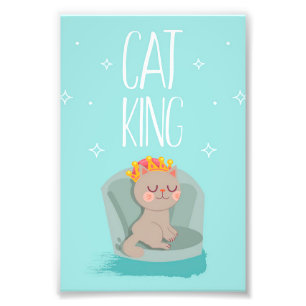 Foto Gato Rei Bonito, Presente De Gatinho Bonito, Prese