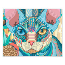 Gato Sphynx Cósmico