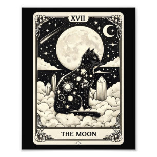 Foto Gato Tarot O Gráfico Da Lua