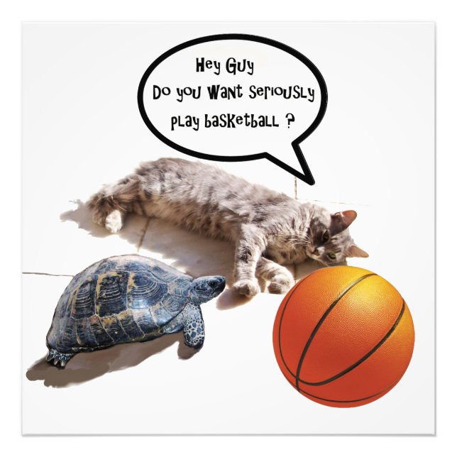 FOTO GATO, TARTARUGA E BASQUETEBOL (Frente)