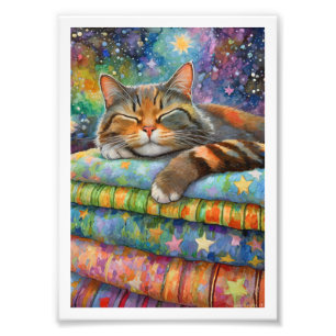 Foto Gato Tartaruga Noite Estrelada