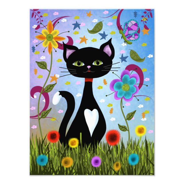 Foto Gato Tuxedo Sentado Em Um Jardim (Frente)