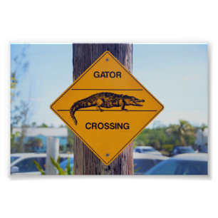 Foto Gator Crossing Sign, Flórida