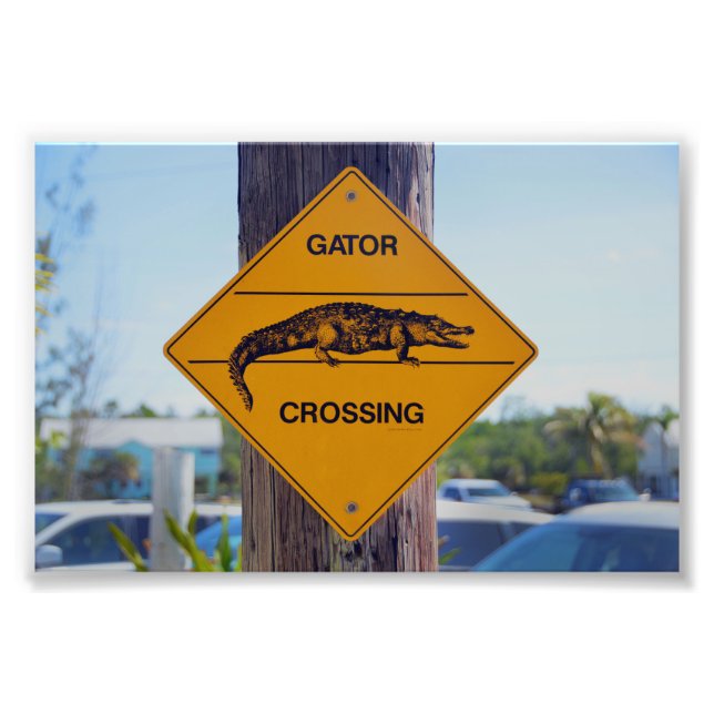Foto Gator Crossing Sign, Flórida (Frente)