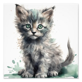 Foto Gatos Filhotes Berçário & Impressões para Quarto d