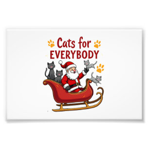 Foto Gatos Para Todos Natal Gato Divertido Natal Mulher