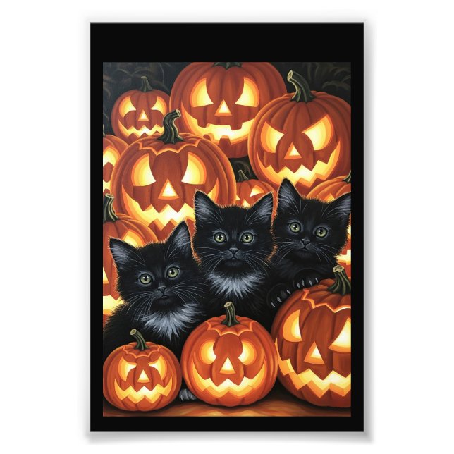 Foto Gatos Pretos e Jack O’Lanternas (Frente)
