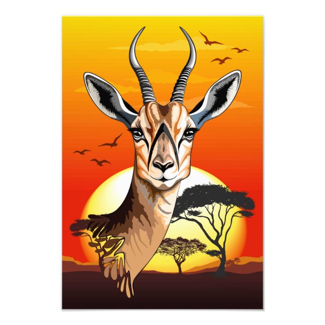 Foto Gazelle African Antelope Wild Animal (Frente)