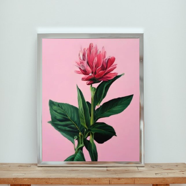 Foto Gengibre de tocha rosa a frio (Criador carregado)