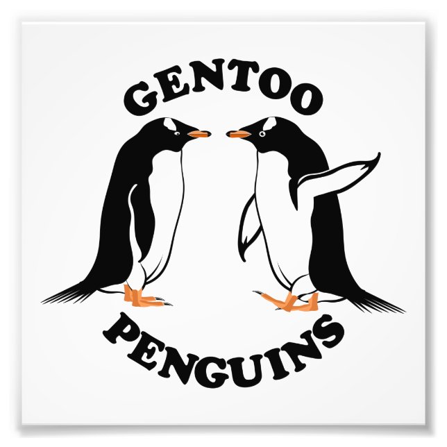 Foto Gentoo Penguins (Frente)