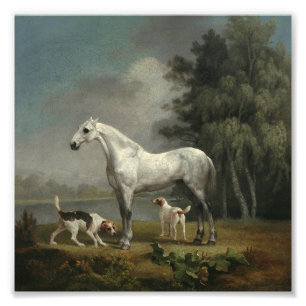 Foto George Stubbs - Um caçador de Cinzas de maçã