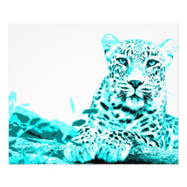 Foto Georgous Leopard em Turquoise