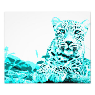 Foto Georgous Leopard em Turquoise