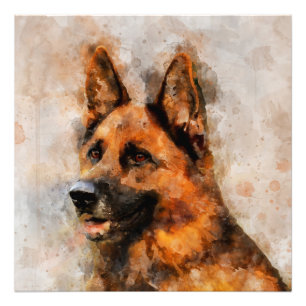Foto German shepherd Cachorro - Retrato de Aquarela 04