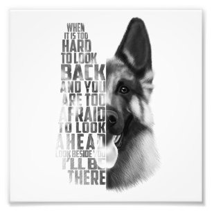 Foto german shepherd, German shepherd
