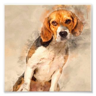 Foto Gift de um cão de Beagle bonito | Melhor Decoração