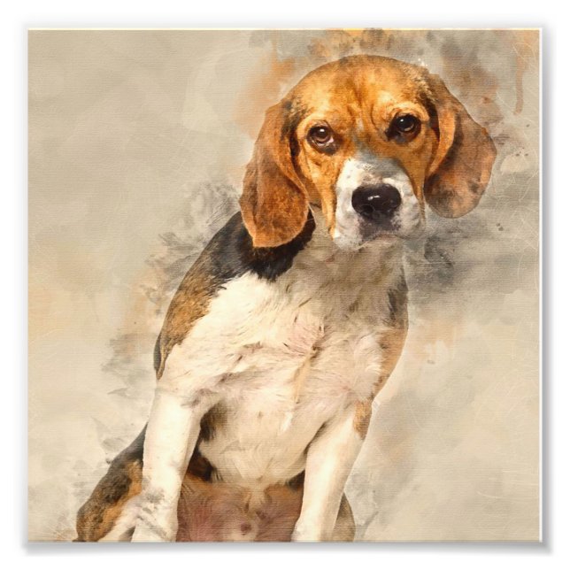 Foto Gift de um cão de Beagle bonito | Melhor Decoração (Frente)