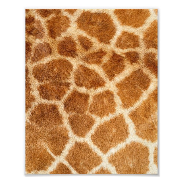 Foto Giraffe fur Impressão (Frente)