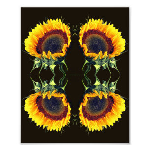 Foto Girassol Na Flor De Abstrato Sunshine Art 8x10