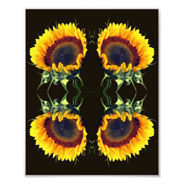 Foto Girassol Na Flor De Abstrato Sunshine Art 8x10 (Frente)