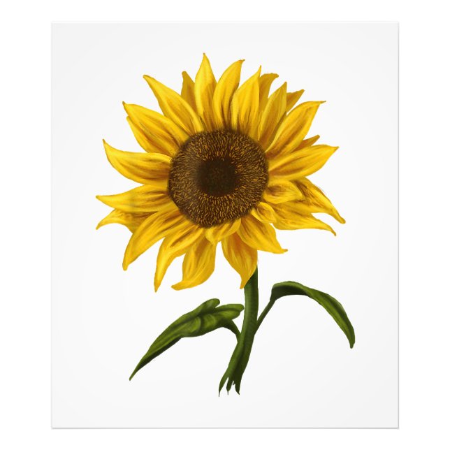 Foto Girassol Sunshine Floral Watercolor Flor (Frente)