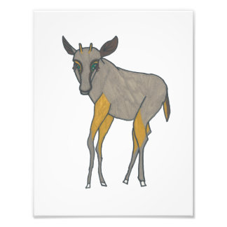 Foto Gnora o Gnu