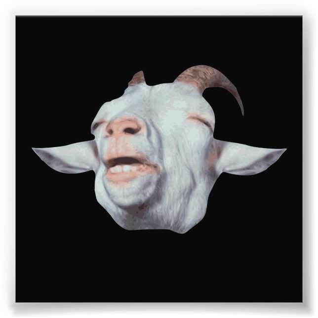 Foto Goat Feliz está desbotado (Frente)