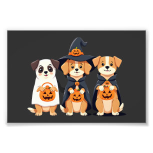 Foto Golden Retriever Fantasma Halloween Doces Ou Trave