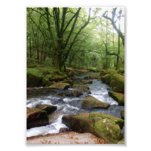 Foto Golitha Falls River Fowey Cornwall Inglaterra