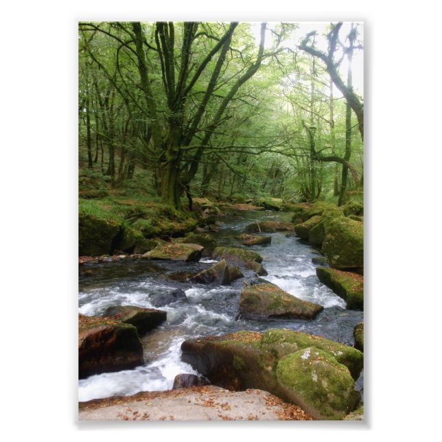 Foto Golitha Falls River Fowey Cornwall Inglaterra (Frente)