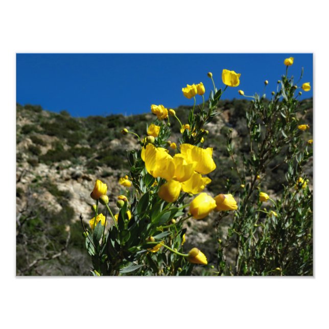 Foto Gould Mesa Trail, CA (Frente)