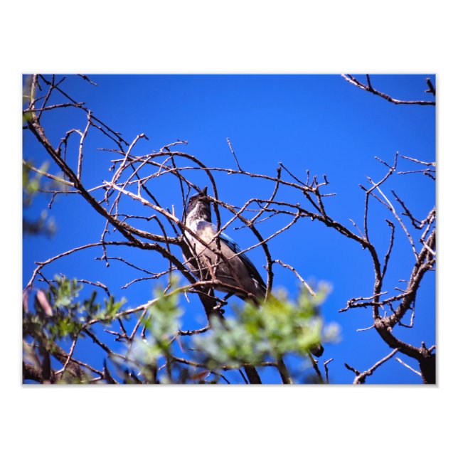Foto Gould Mesa Trail, CA (Frente)