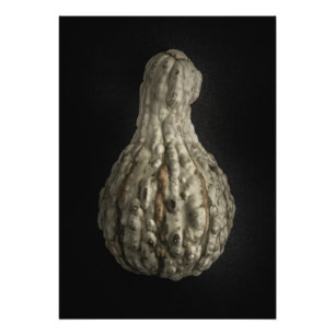 Foto Gourd Versão 8 Colorido