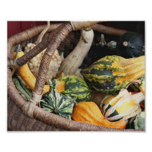 Foto Gourds Coloridos no Cesto Mais Vestido, outono 8x1