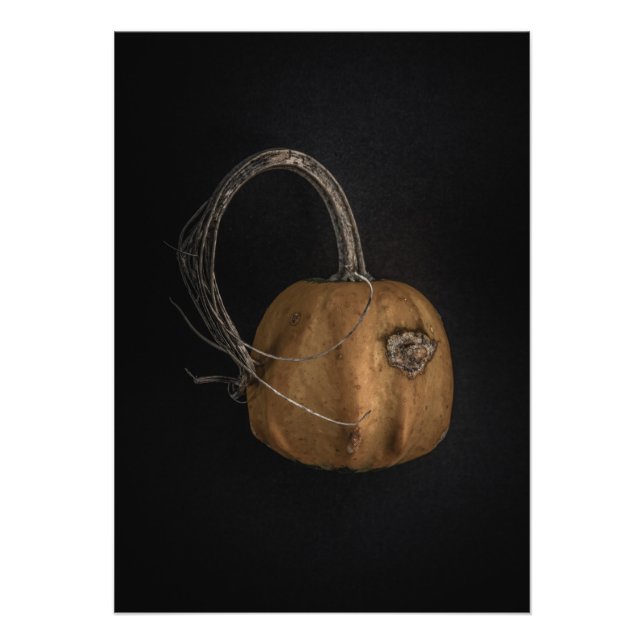 Foto Gourds n.o 13 Color Version (Frente)
