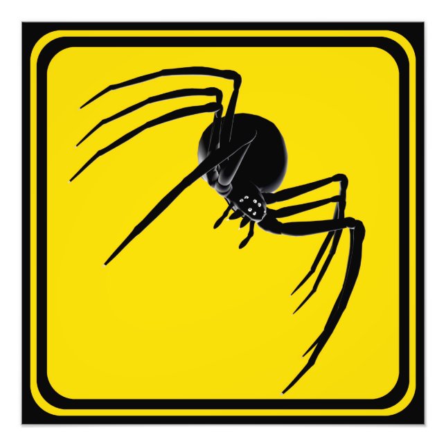 Foto Grande Aranha Cruzando! (Frente)