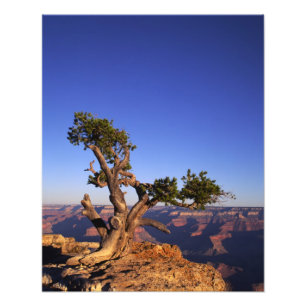 Foto Grande Canyon, Arizona, EUA