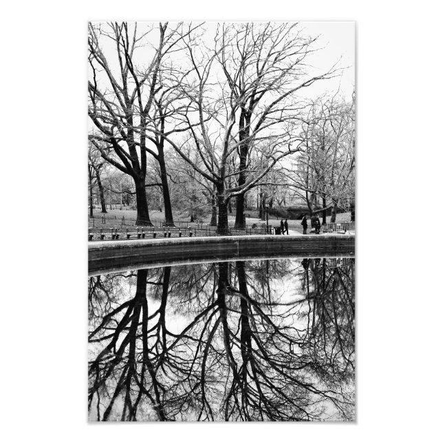 Foto Grande Paisagem de inverno no Central Park (Frente)