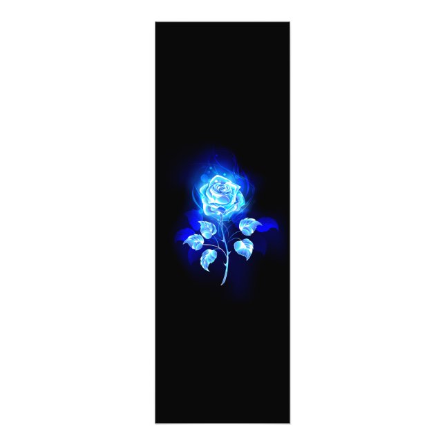 Foto Gravação de Rosa Azul (Frente)