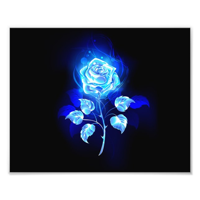 Foto Gravação de Rosa Azul (Frente)