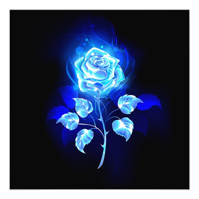 Foto Gravação de Rosa Azul (Frente)
