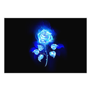 Foto Gravação de Rosa Azul