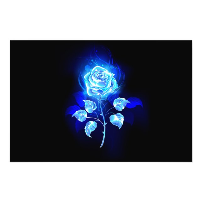 Foto Gravação de Rosa Azul (Frente)