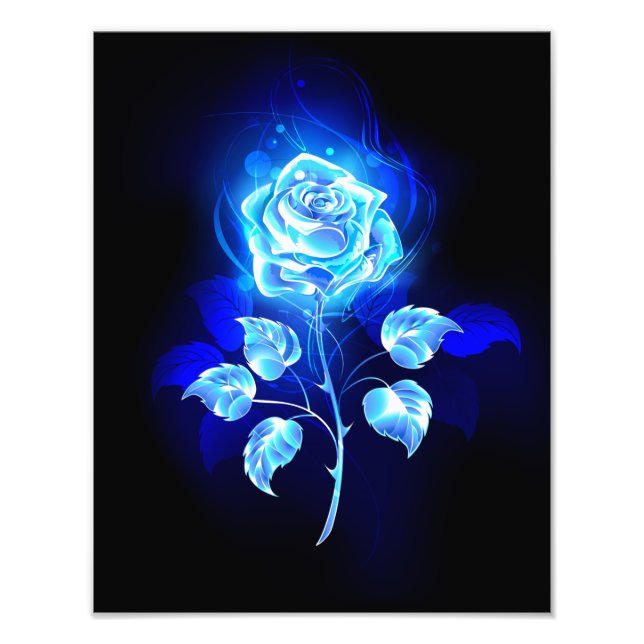 Foto Gravação de Rosa Azul (Frente)