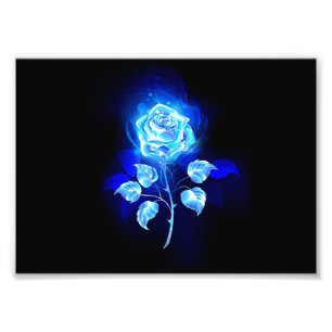 Foto Gravação de Rosa Azul