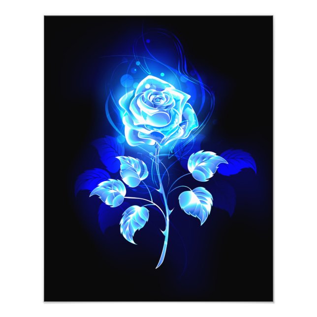 Foto Gravação de Rosa Azul (Frente)