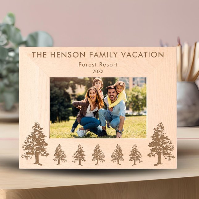 Foto Gravada Foto da Floresta de Pine (Criador carregado)