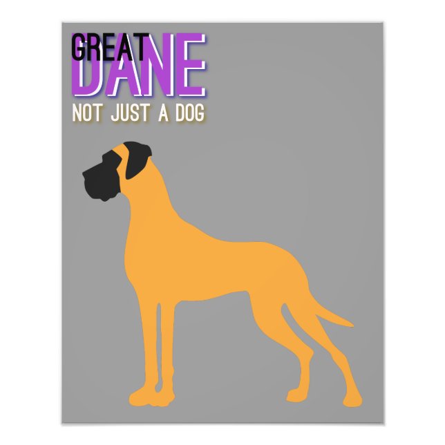 Foto Great Dane Poster (Frente)
